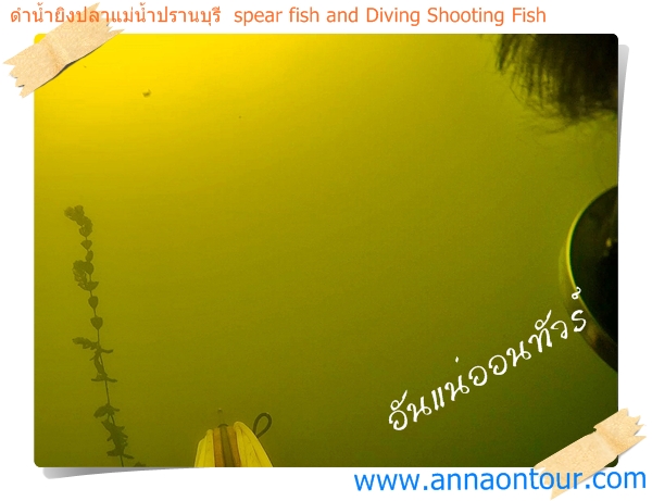 ดำน้ำยิงปลาแม่น้ำปรานบุรี