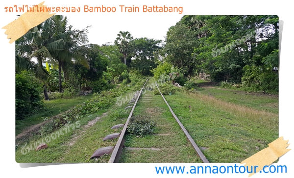 นั่งรถไฟไม้ไผ่ชมธรรมชาติริมทางรถไฟพะตะบอง