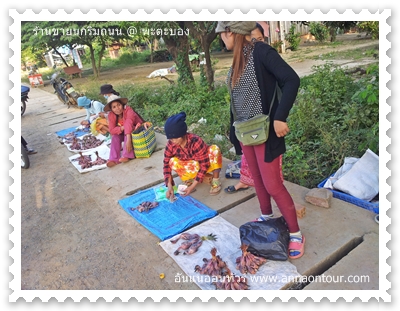 ร้านขายนกริมถนนพะตะบอง