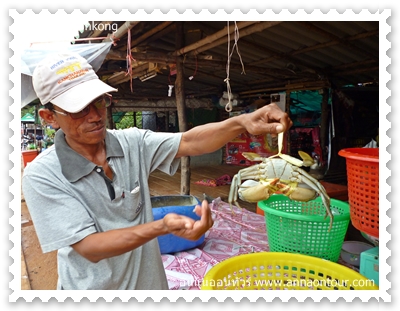 ปูขนาดใหญ่ราคาจะสูง