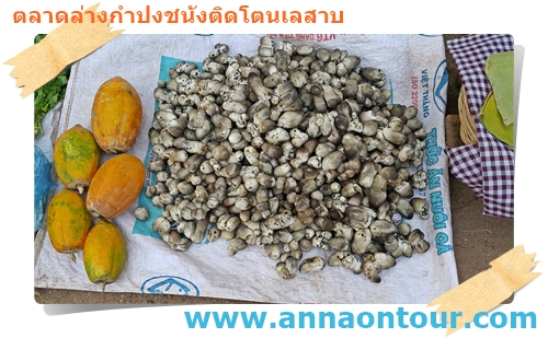พืช ผักที่หาได้ในตลาดล่างกำปงชนัง