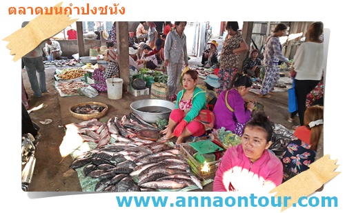 ตลาดเช้าขายปลากำปงชนัง