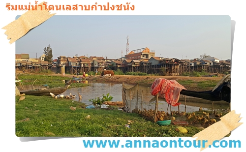 บ้านเรือนที่ปลูกสร้างติดริมแม่น้ำโตนเลสาบ