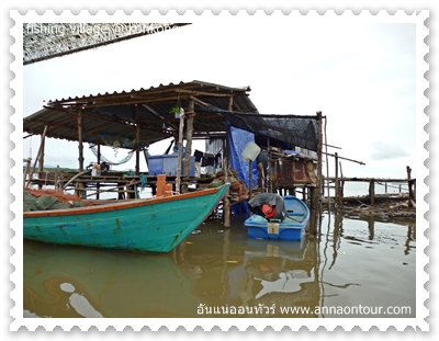 เรือของหมู่บ้านชาวประมง