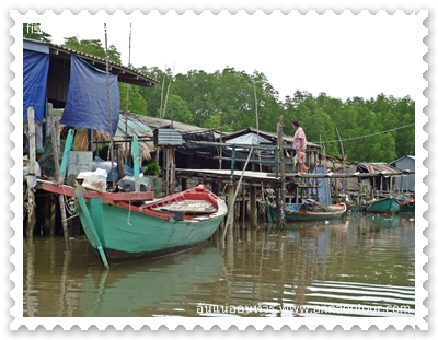 สะพานข้ามฟากระหว่างบ้านชาวประมง