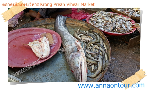ปลามากมายจากแม่น้ำโขงที่นำมาขายในตลาดเช้าพระวิหาร