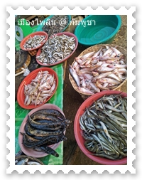 ตลาดสดจังหวัดไพลิน