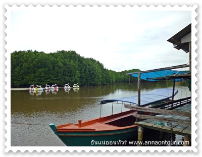 ท่าเรือนำเที่ยวป่าชายเลน