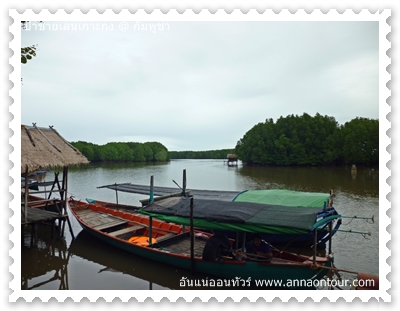 เรือนำเที่ยวป่าชายเลน