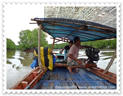 คนขับเรือนำเที่ยว