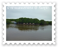 ร้านอาหารในป่าชายเลน