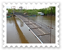 สะพานข้ามแม่น้ำในป่าชายเลน