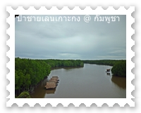 เส้นทางล่องเรือชมป่าชายเลน