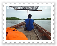 นั่งเรือชมป่าชายเลน