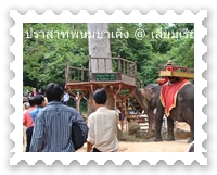บริการช้างเดินขึ้นไปยังปราสาทพนมบาเค็ง