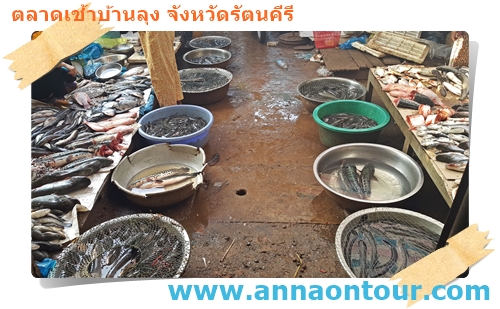 โซนขายปลาตลาดบ้านลุง