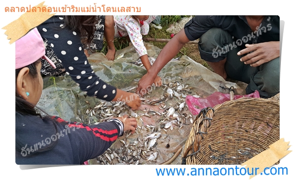 ชาวบ้านแยกปลาเล็กปลาน้อยที่จับได้จากโตนเลสาบ