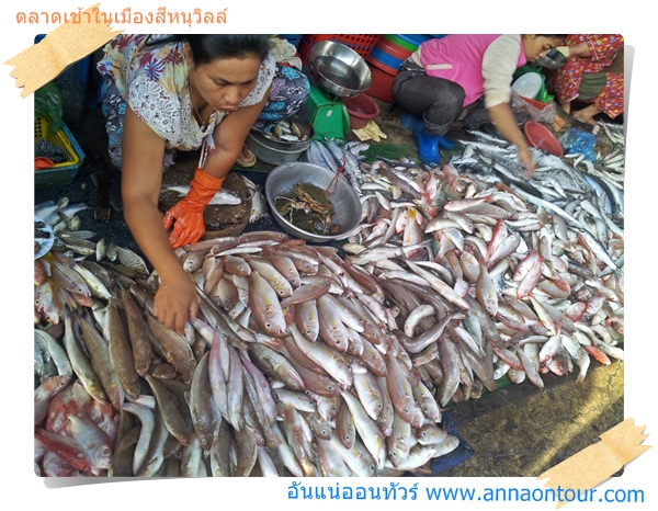 ปลาทะเลที่นำมาขายในตลาดสีหนุวิลล์