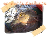 ปลาทะเลที่นำมาขายในตลาดตอนเช้า