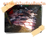 ปลาทับทิมปลาเลี้ยงนำมาวางขายกับพื้น