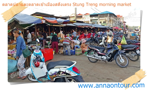 ตลาดเช้าเมืองสตึงเตรง