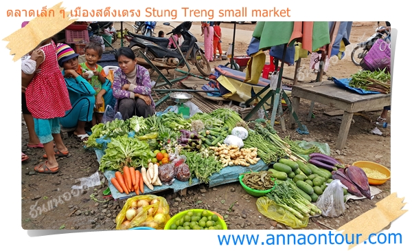 ผักในตลาดเล็ก ๆ เมืองสตึงเตรง