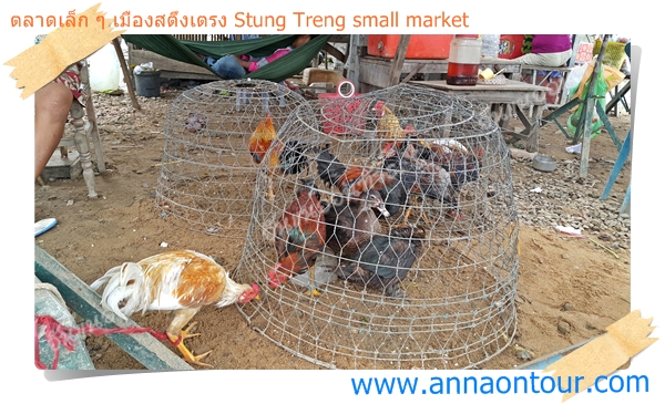 ไก่เป็ดมีขายในตลาดเล็ก ๆ เมืองสตึงเตรง
