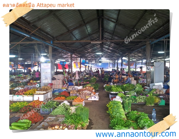 ตลาดสดอัดตะปือ มีผัก เครื่องครัว อาหาร ผลไม้ เพียบ