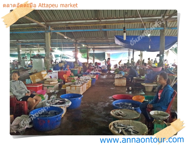 ร้านขายของทะเลในตลาดอัดตะปือ