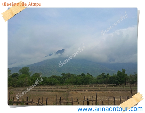 ท้องนาและแนวทิวเขาสูงในเมืองอัดตะปือ