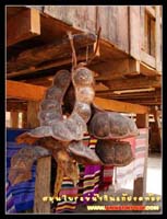ของป่าที่นำมาขายที่บ้านสบแจ่ม