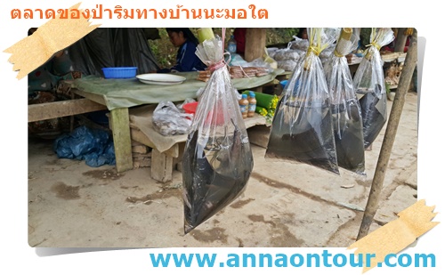 ปลาดุกที่ชาวบ้านจับได้ตามแหล่งน้ำแล้วนำมาขายในตลาดริมทางบ้านนะมอใต้