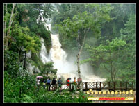 น้ำตกตาดกวางซี