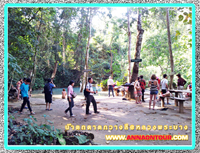 ลานร่มไม้ริมน้ำตกตาดกวางซี