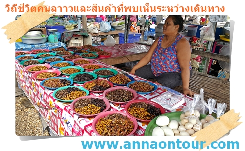 ร้านขายแมลงก็มีเยอะแยะมากมาย ร้านนี้ตั้งอยู่ในตลาดนางา เขตนครหลวงเวียงจัน