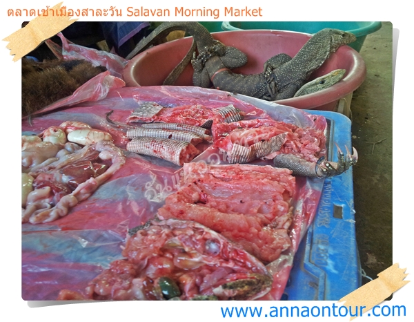 ร้านขายสัตว์ป่าที่หาได้ในตลาดเช้าสาละวัน เป็นวิถีการกินของชาวลาวในเมืองสาละวัน
