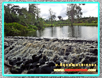 น้ำตกภายในบริษักทสีนุก พัฒนา เซกองจำกัด