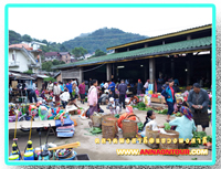 ตอนเช้าที่ตลาดพงสาลี