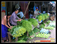 ร้านขายผักพูคูน