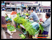 ผัดสด ๆ ที่ตลาดพูคูน