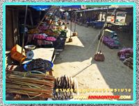 ตลาดใหม่สามแยกพูคูน