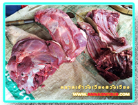 หมูป่าใสตลาดวังเวียง