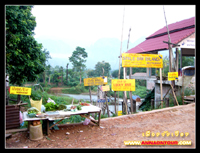 สถานบริการที่เมืองวังเวียง