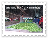 แผงขายผักตลาดซำเหนือ