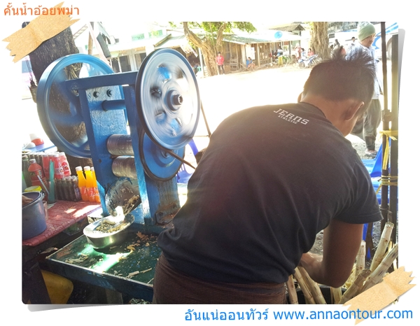 burmese canejuice