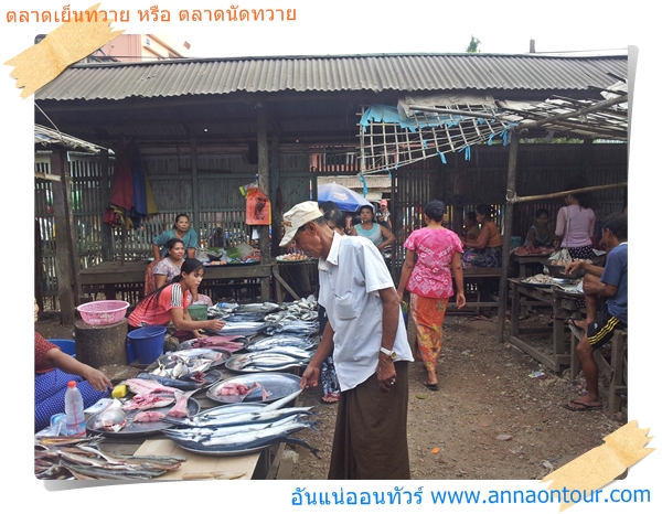 ตลาดนัด หรือตลาดที่ไหนในทวายต้องมีปลามาขายทุกที่