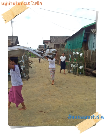 การนำปลาใส่กะละมังแล้วใส่หัวกลับบ้านเป็นวิธีที่ชาวพม่าเขาใช้ตั้งแต่เล็ก ๆ