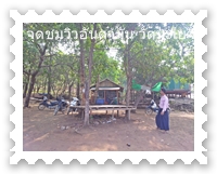 ลาดจอดรถบริเวณร้านค้า