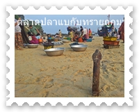 สมอเรือปักอยู่กลางตลาดโมชิก