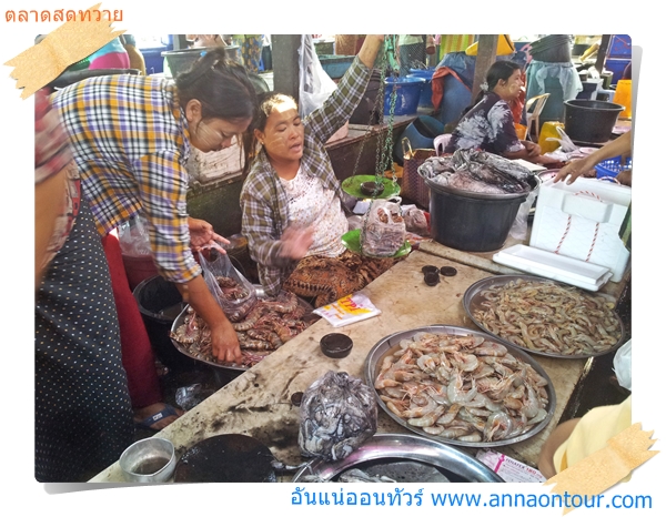 กุ้มแม่น้ำทวายตัวใหญ่ ๆ